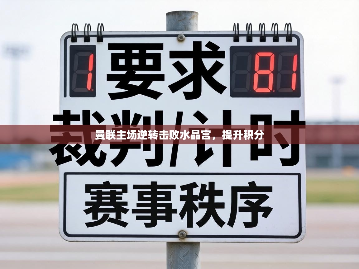 曼联主场逆转击败水晶宫,提升积分 第1张